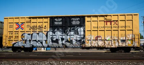 TBOX640838