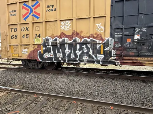 TBOX664515