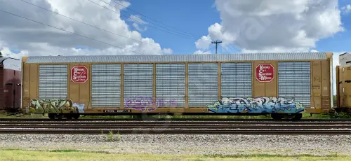 TTGX692765