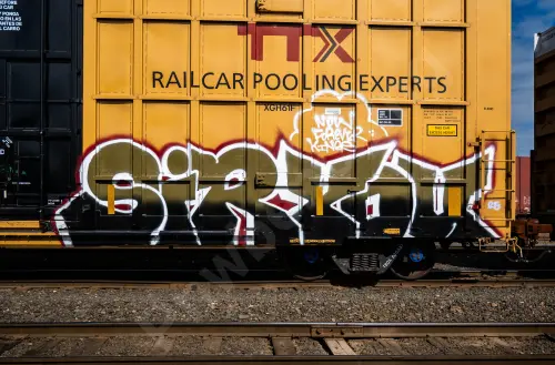 TBOX635337