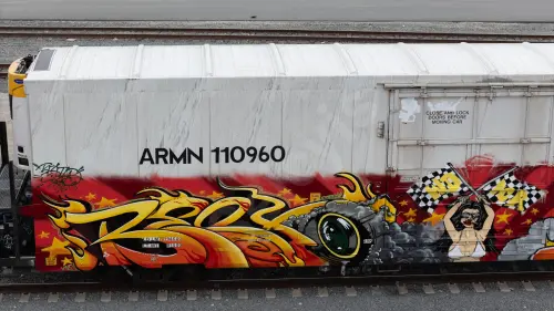 AMN110960