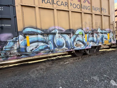 TBOX638052