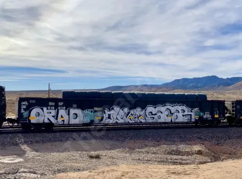 Train photo