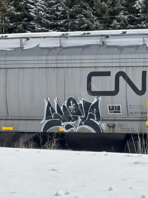 Train photo