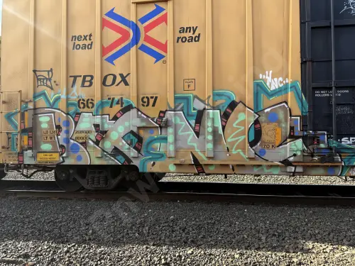 TBOX667497
