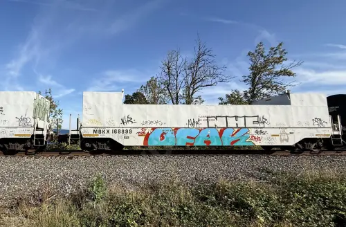 MBKX168899