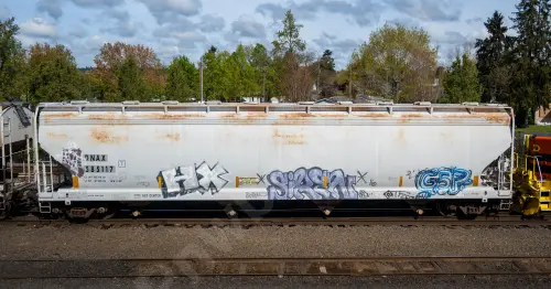 DNAX585117