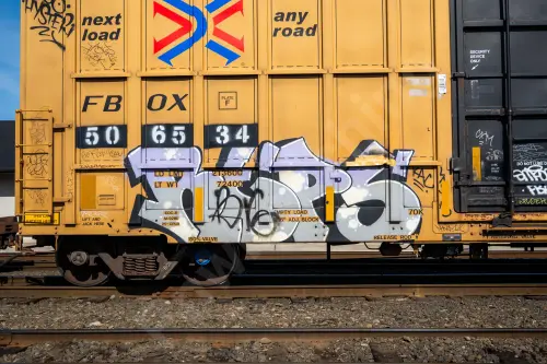 FBOX506534