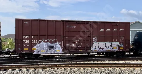 Train photo