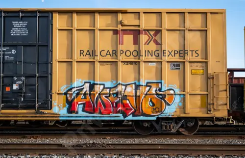 TBOX633194