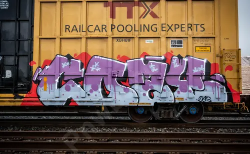 TBOX636031