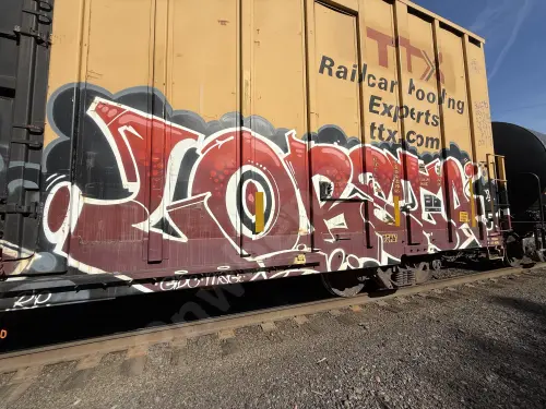 TBOX661155