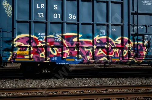 LRS130136