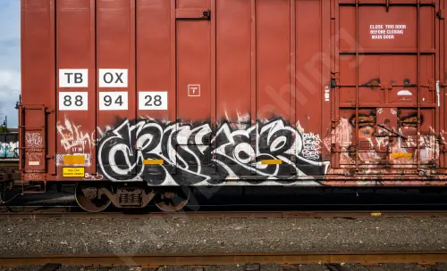 TBOX889428