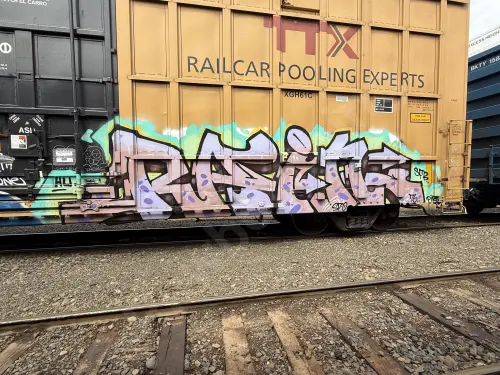 TBOX631242