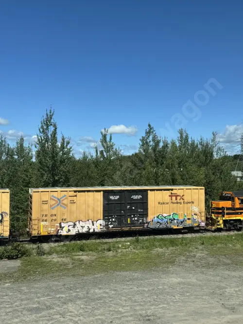 TBOX662046
