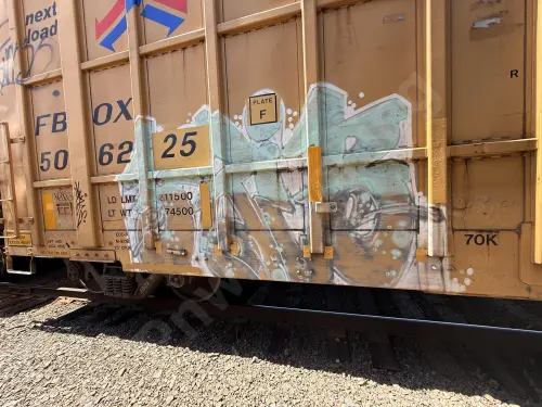 FBOX506225