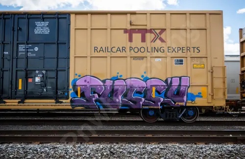 TBOX636307