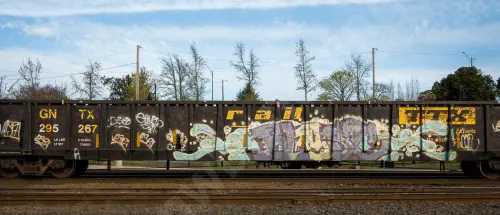 GNTX295267