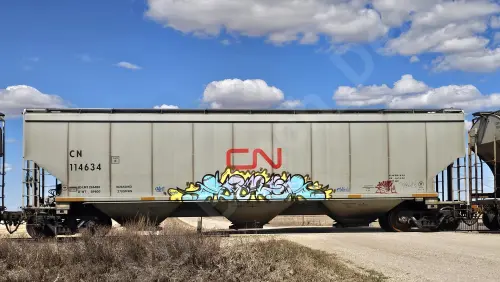 Train photo