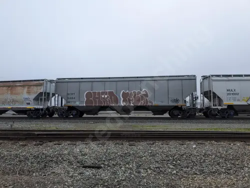 UCRY5484