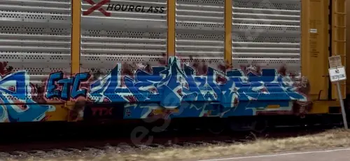 TTGX707846