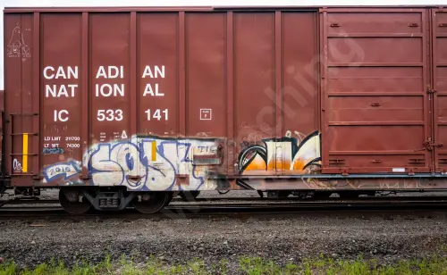 IC533141
