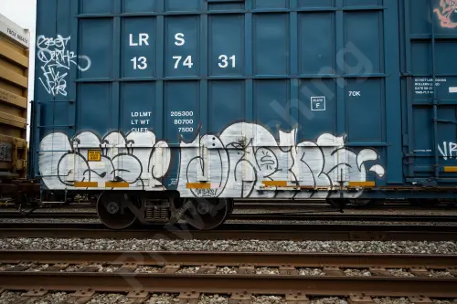LRS137431