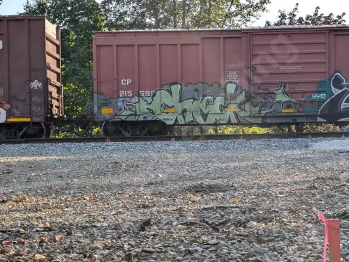 CP215595