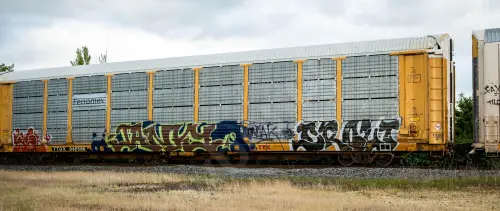 TTGX942586
