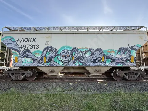 AOKX497313