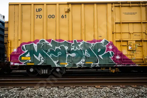 UP700061