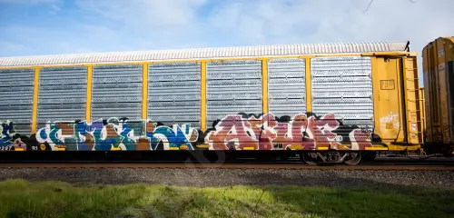 TTGX978297