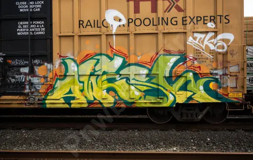 FBOX506916