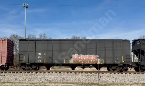 Train photo
