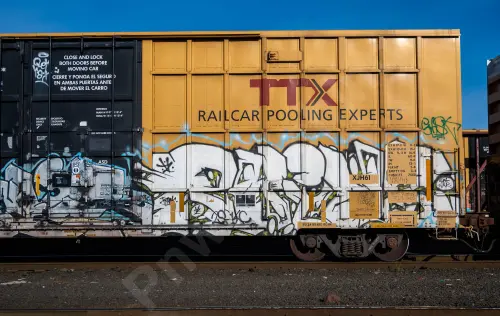 TBOX675237