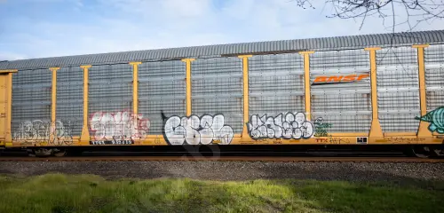 Train photo