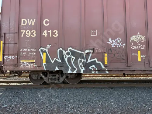 DWC793413