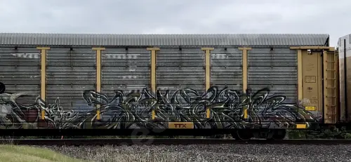 TTGX980293