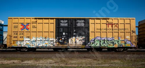 TBOX664519