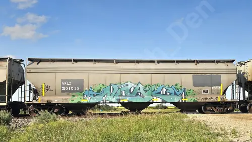 NKLX201015