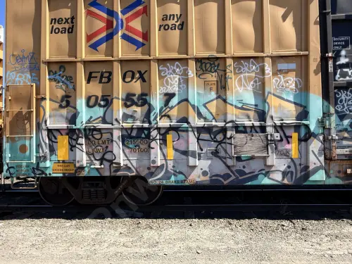 FBOX505557