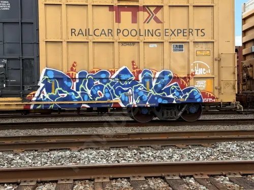 TBOX635494