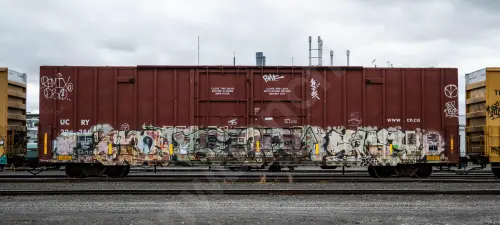 UCRY22386