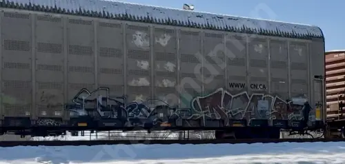 Train photo