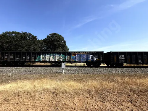 GNTX295833