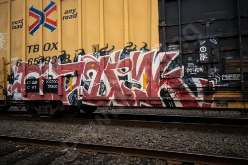 TBOX665938