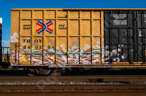 TBOX640364