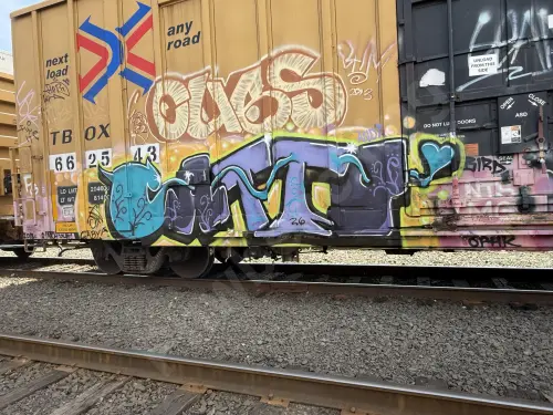 TBOX662543