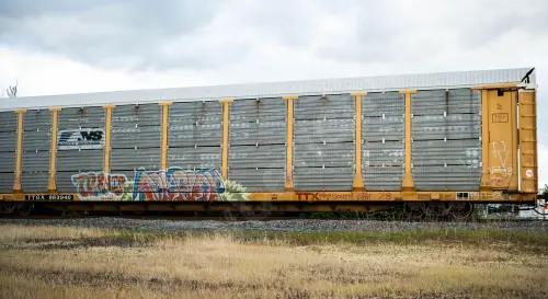 Train photo